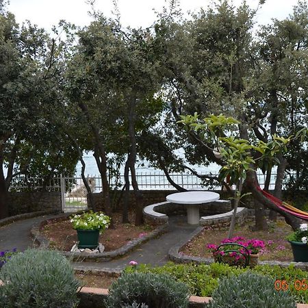 Apartment Palatisa Kožino Dış mekan fotoğraf
