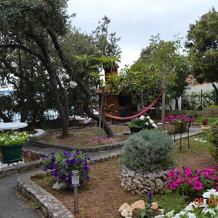 Apartment Palatisa Kožino Dış mekan fotoğraf