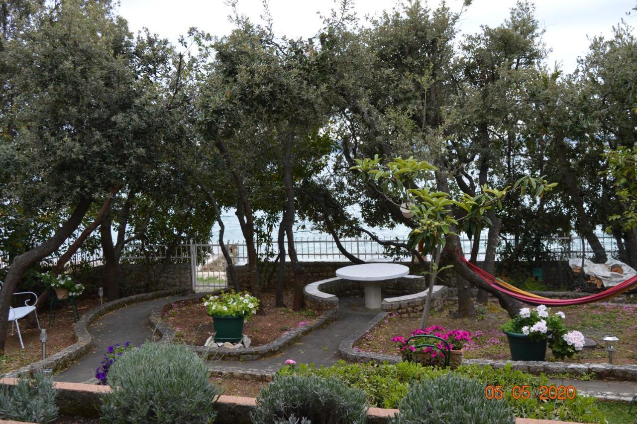 Apartment Palatisa Kožino Dış mekan fotoğraf