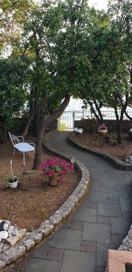 Apartment Palatisa Kožino Dış mekan fotoğraf